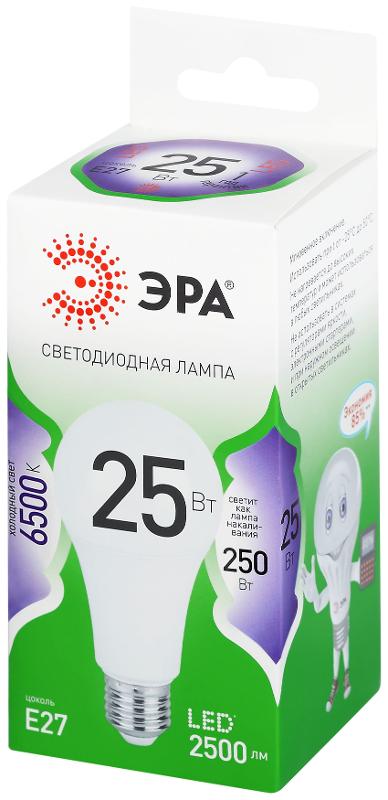 Лампа светодиодная  GREEN LINE LED A60-25W-865-E27 GL E27 25 Вт груша холодный свет | Б0067111 | ЭРА — миниатюра 5