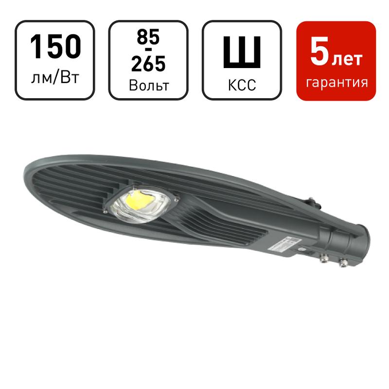 Светильник светодиодный консольный уличный ДКУ SPP-5-60-5K-W 60Вт 5000К IP65 9000лм 620x245x7 | Б0029441 | ЭРА — ЭРА (Энергия света)