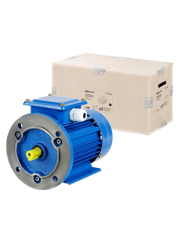 Эл. Двиг. АИР 100L6 2,2 кВт 1000 об/мин 2081 | SQ3001-0085 | TDM — TDM ELECTRIC