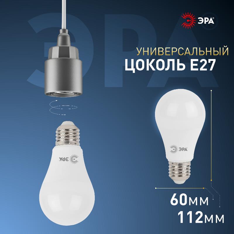 Лампа светодиодная LED 15Вт Е27 6000К smd A60-15W-860-E27 | Б0031396 | ЭРА — миниатюра 3