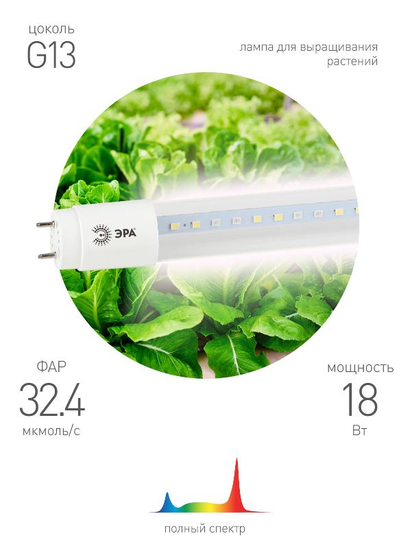 Лампа светодиодная Т8 фито для растений 18Вт G13 белый спектр ЭРА FITO-18W-Ra90-Т8-G13-NL | Б0042987 | ЭРА — ЭРА (Энергия света)