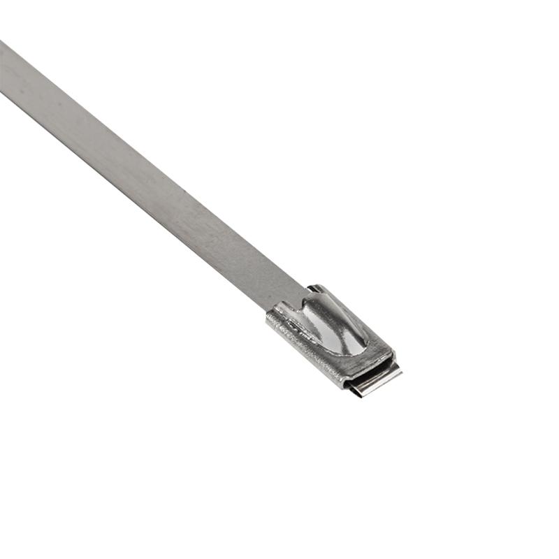 Хомут AISI 304 из нержавеющей стали, 4.6x150 (10 шт.) FlexLock PROxima | plc-fl-tss-304-4.6x150-r | EKF — миниатюра 4