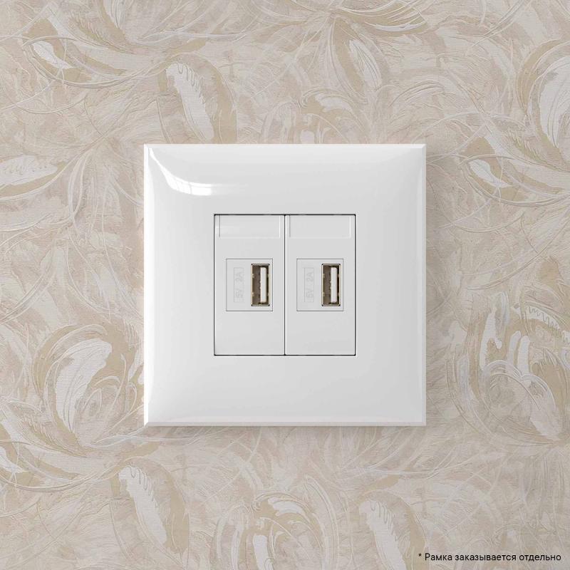 USB зарядное устройство в стену, "Avanti", "Белое облако" | 4400543 | DKC — миниатюра 10
