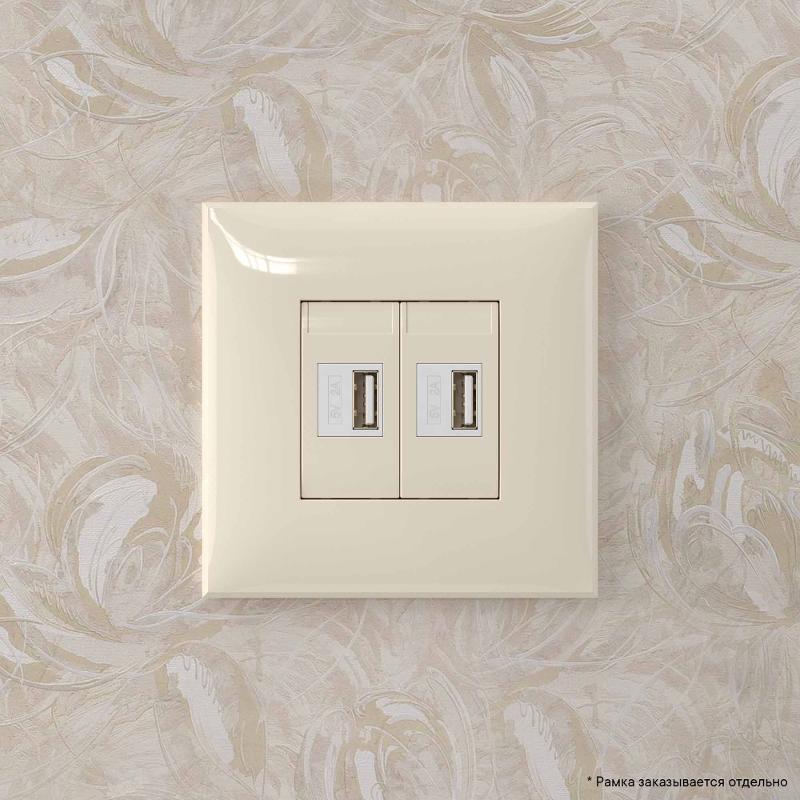 USB зарядное устройство в стену, "Avanti", "Ванильная дымка" | 4405543 | DKC — миниатюра 10