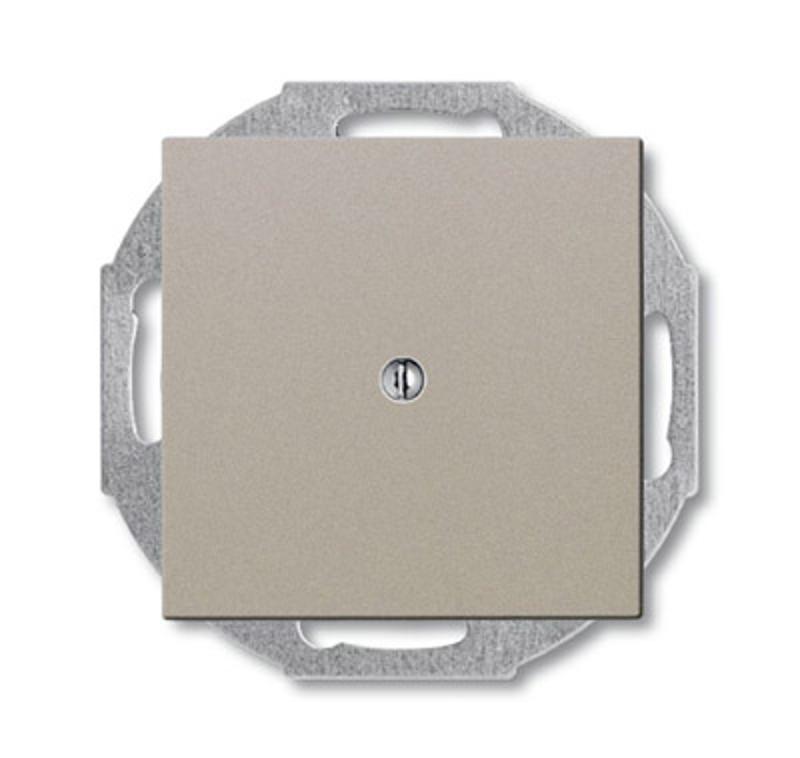 ABB Basic 55 Шампань Заглушка с суппортом | 1715-0-0314  | 2CKA001715A0314 | ABB — ABB