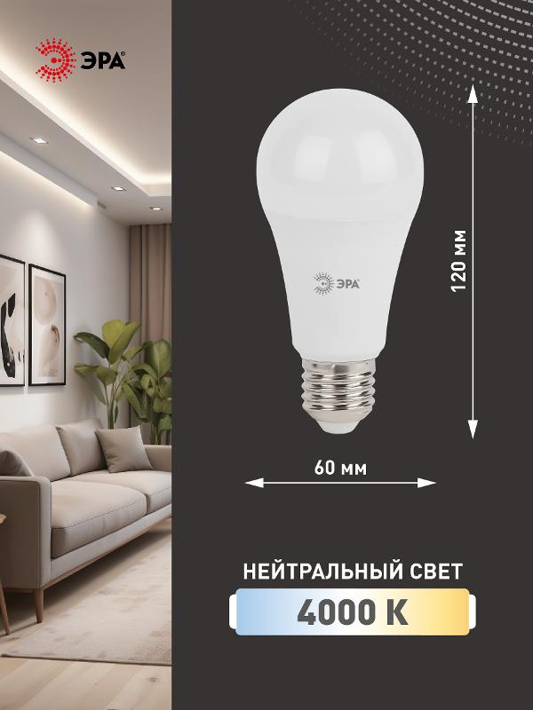 Лампа светодиодная LED 17Вт Е27 4000К A60-17W-840-E27 | Б0031700 | ЭРА — миниатюра 2