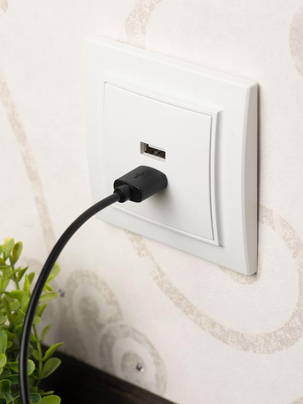 Минск Розетка USB 2-местная СП 2,1А  белая   | ERR-2USB-100 | EKF — миниатюра 6