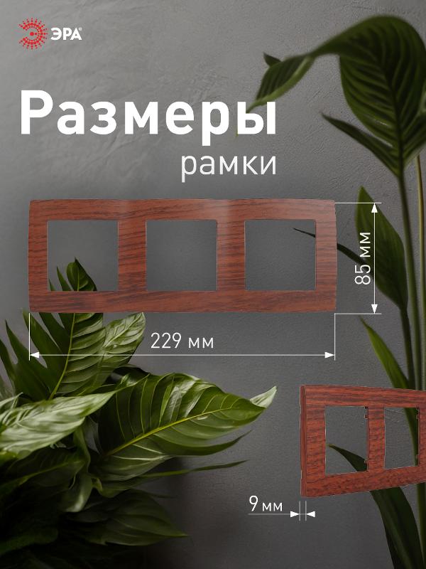 Рамка на 3 поста 12-5003-08  ,  вишня  |Б0014768 | ЭРА — миниатюра 4