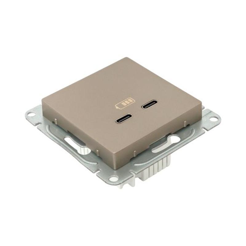 Механизм розетки USB-C - 2шт, шампань Эпика  |UP1-SOC-2USBC| EKF — миниатюра 11