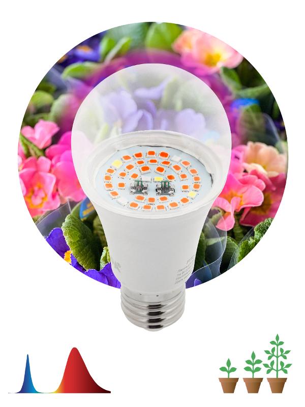 Светильник светодиодный для растений FITO-12W-RB-E27 | Б0050601 | ЭРА — миниатюра 2