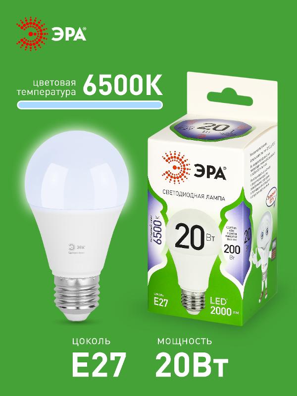 Лампа светодиодная GREEN LINE LED A60-20W-865-E27 GL E27 20 Вт груша холодный свет | Б0067102 | ЭРА — миниатюра 3