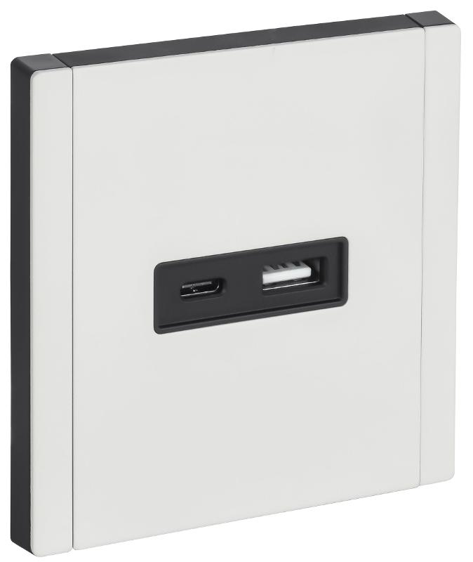 FORTE&PIANO Розетка USB A+C 3,1А FP250M белый | FP-U22-D31-M-K01 | IEK — миниатюра 1