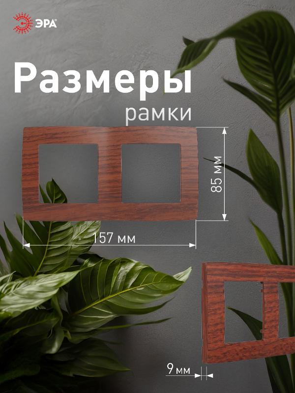 Рамка на 2 поста 12-5002-08  ,  вишня  |Б0014758 | ЭРА — миниатюра 4