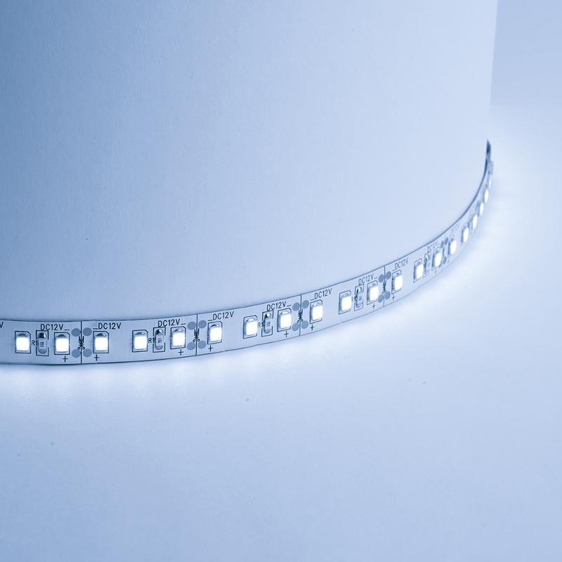 Лента светодиодная LS612/ 120SMD(2835)/м 9.6Вт/м 12V 5000*10*1.22мм 6500К,IP20 | 27729 | FERON — Feron