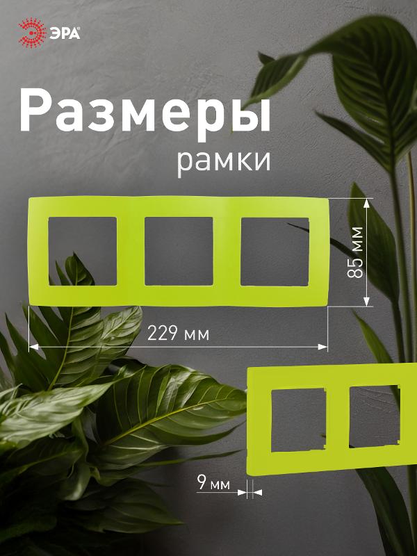Рамка на 3 поста 12-5003-26  ,  лайм  |Б0019409 | ЭРА — миниатюра 4