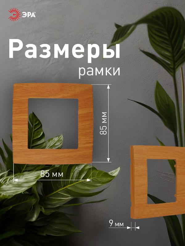 Рамка на 1 пост 12-5001-07  ,  ольха  |Б0014747 | ЭРА — миниатюра 4