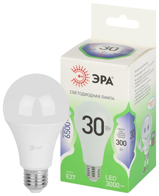 Лампа светодиодная  GREEN LINE LED A65-30W-865-E27 GL E27 30 Вт груша холодный свет | Б0067145 | ЭРА — миниатюра 1