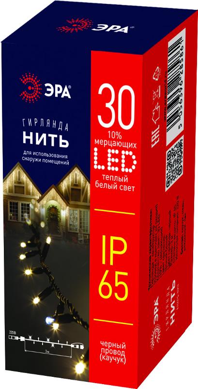 Светодиодная новогодняя гирлянда ERAPS-NK3 нить 10 м тёплый свет 100 LED | Б0051886 | ЭРА — миниатюра 2