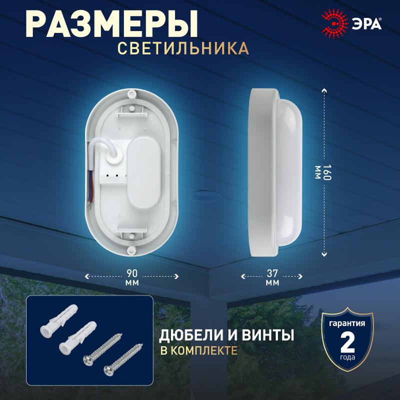 Светильник светодиодный пылевлагозащищенный для ЖКХ SPB-202-0-65K-008 IP65 8Вт 6500К ОВАЛ | Б0047618 | ЭРА — миниатюра 5