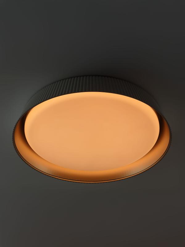Светильник потолочный светодиодный Классик без ДУ SPB-6 Bella 48W-3K-6,5K WH 3000-6500К белый — миниатюра 8