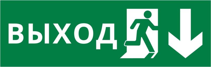 Пиктограмма ДСО-101-IP65-Н "Выход Фигура - вниз 2" | 62330DEK | DEKraft — фото 1 | Sento