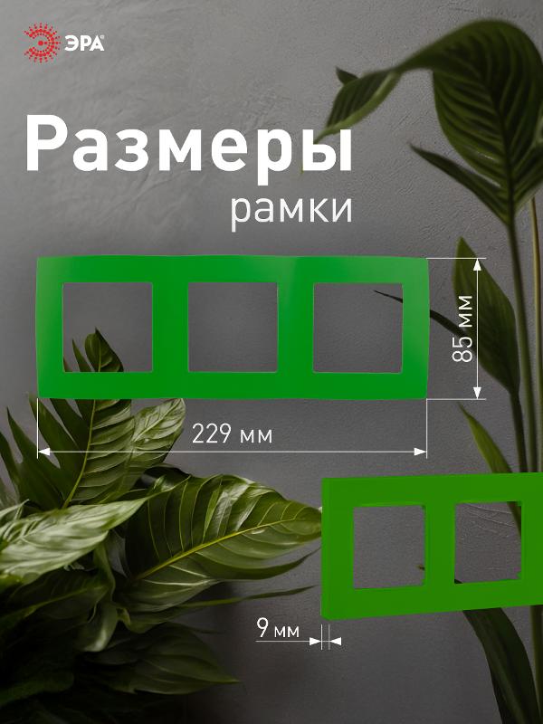 Рамка на 3 поста 12-5003-27  ,  зелёный  |Б0019410 | ЭРА — миниатюра 4