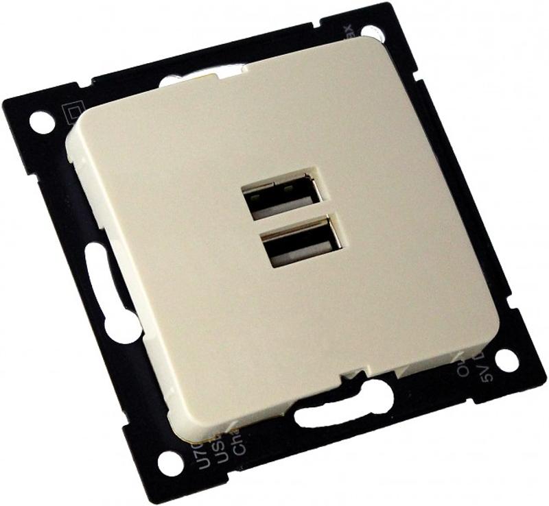 РС-USB-420-01 Розетка "Мастер" USB, С/У, механизм, цвет слоновая кость | РС-USB-420-01 | HEGEL — фото 1 | Sento