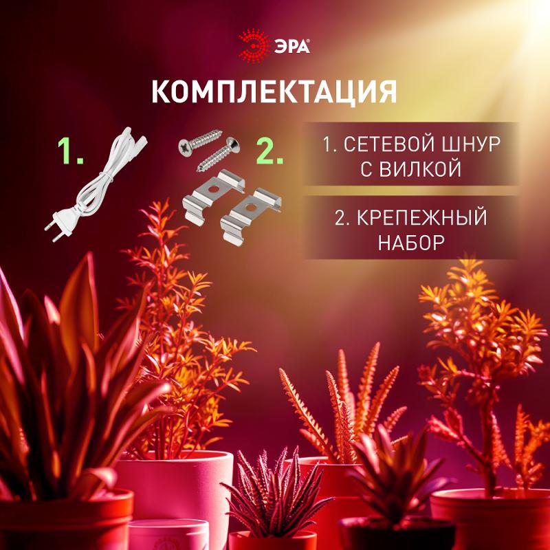 Светильник для растений, фитолампа светодиодная линейная  FITO-18W-PL-LINE 573-GR красно-синего спектра 18 Вт Т5 | Б0066936 | ЭРА — миниатюра 5