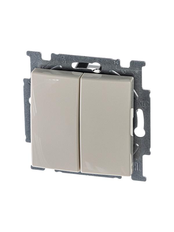 ABB Basic 55 Сл. кость Выключатель 2-х клавишный | 1012-0-2148  | 2CKA001012A2148 | ABB — ABB