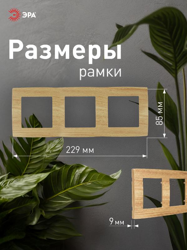 Рамка на 3 поста 12-5003-11  ,  сосна  |Б0019148 | ЭРА — миниатюра 4