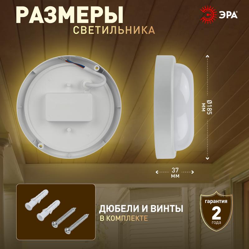 Светильник светодиодный для ЖКХ SPB-201-0-40K-018 настенно-потолочный IP65, D 210 мм, 18Вт, 4000К, рассеиватель матовый | Б0054579 | ЭРА — миниатюра 5