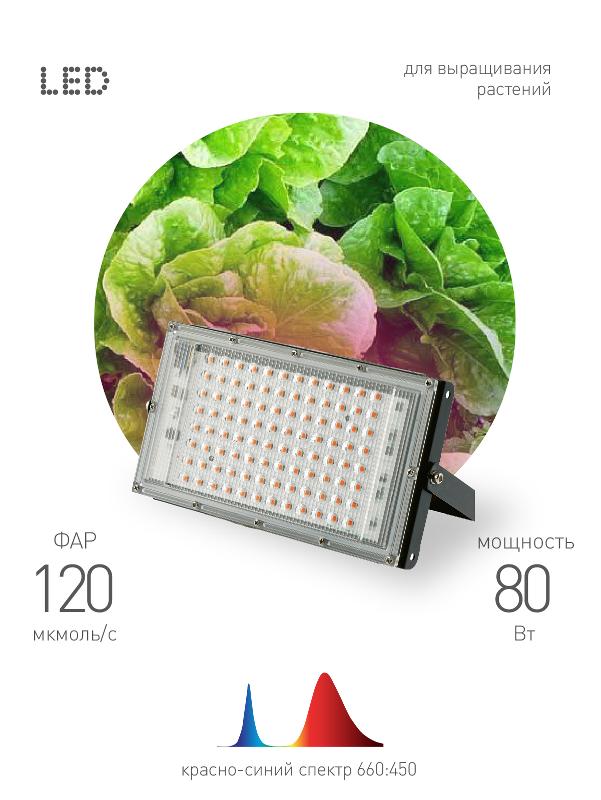 Фитопрожектор для растений светодиодный 80Вт FITO-80W-RB-LED-Y красно-синего спектра | Б0053082 | ЭРА — миниатюра 1