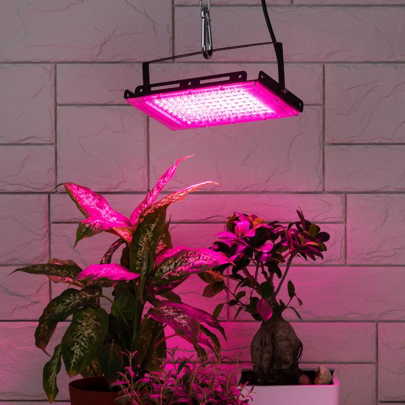 Фитопрожектор для растений светодиодный 80Вт FITO-80W-RB-LED-Y красно-синего спектра — миниатюра 4