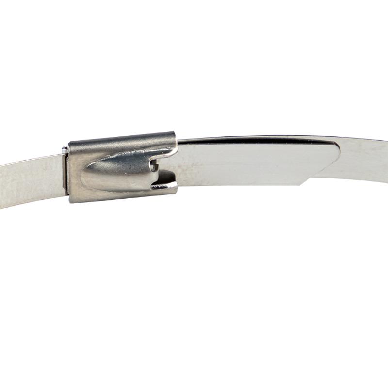 Хомут AISI 304 из нержавеющей стали, 4.6x260 (100 шт.) FlexLock PROxima|plc-fl-tss-304-4.6x260|EKF — миниатюра 4