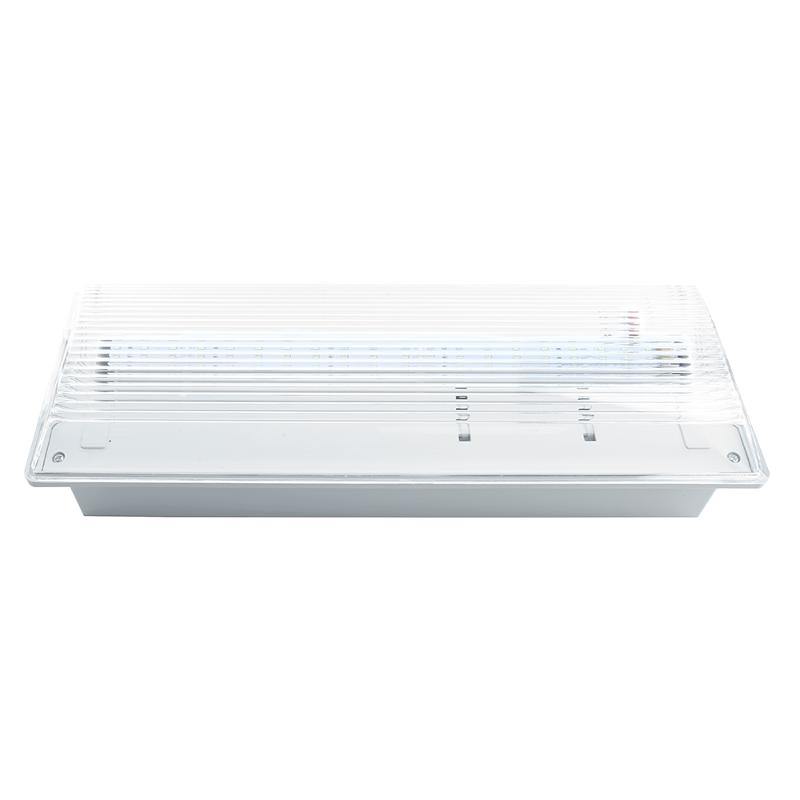 Светильник аварийный, 20 LED AC/DC, белый, EM100 с наклейкой ВЫХОД IP54 3 часа | 41535 | FERON — Feron