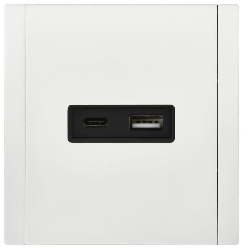 FORTE&PIANO Розетка USB A+C 3,1А FP250M белый | FP-U22-D31-M-K01 | IEK — миниатюра 2