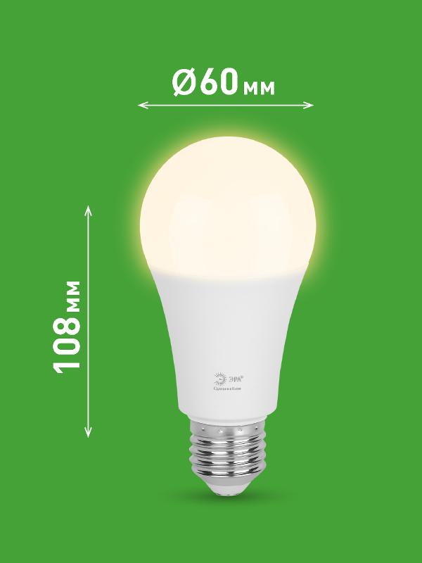 Лампа светодиодная  GREEN LINE LED A60-25W-830-E27 GL E27 25 Вт груша теплый свет | Б0067087 | ЭРА — миниатюра 2