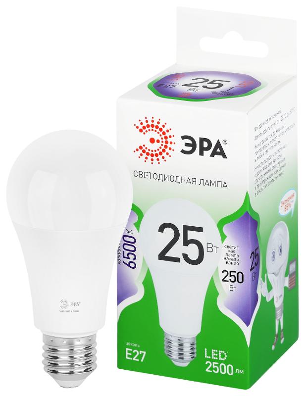 Лампа светодиодная  GREEN LINE LED A60-25W-865-E27 GL E27 25 Вт груша холодный свет | Б0067111 | ЭРА — ЭРА (Энергия света)
