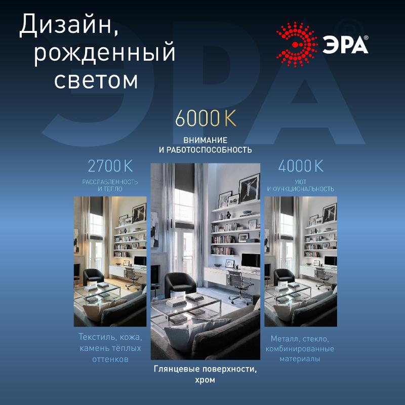 Лампа светодиодная LED R50-6W-860-E14 (диод, рефлектор, 6Вт, холод, E14), (10/100/3600) |Б0048023 | ЭРА — миниатюра 5