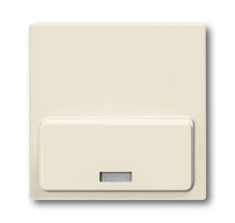 ABB Basic 55 Сл. кость Плата центральная (накладка)для механизма док-станции Busch-iDock 8218 U | 8200-0-0168 | ABB — ABB