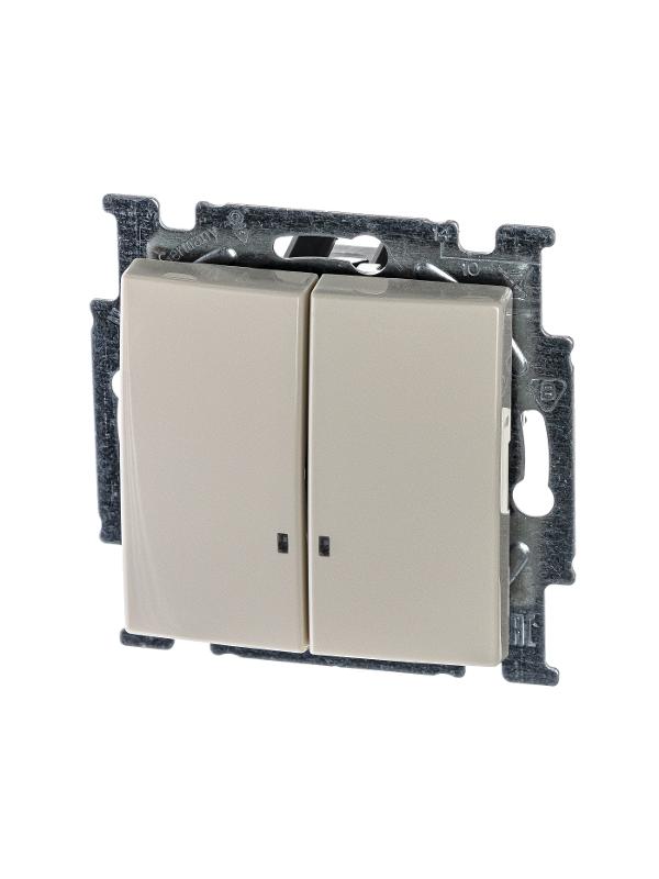 ABB Basic 55 Сл. кость Выключатель 2-клавишный с подсветкой | 1012-0-2157  | 2CKA001012A2157 | ABB — ABB