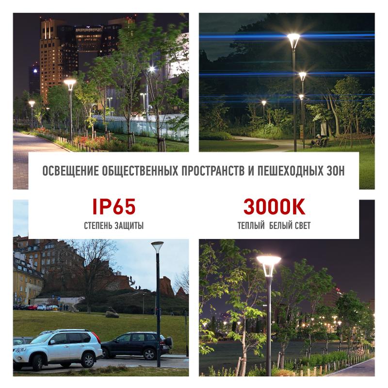 Светильник светодиодный садово-парковый SPP-505-0-30K-050 50Вт 6000лм 3000K IP65 КСС Д серый — миниатюра 3