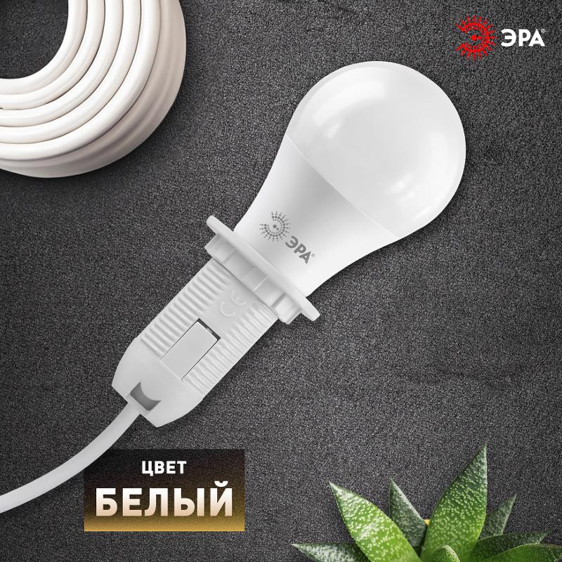 Патрон Е14 с кольцом,пластик, белый (x50) | Б0043746 | ЭРА — миниатюра 4