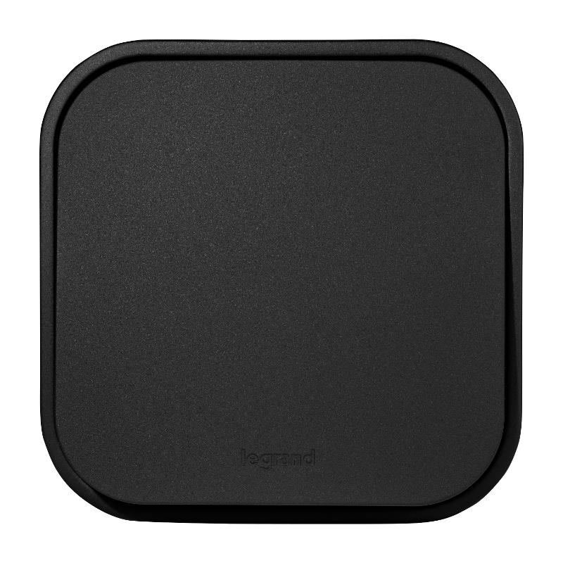 Quteo Чёрный Переключатель 1-клавишный 10A винтовые зажимы  | 782477 | Legrand — Legrand