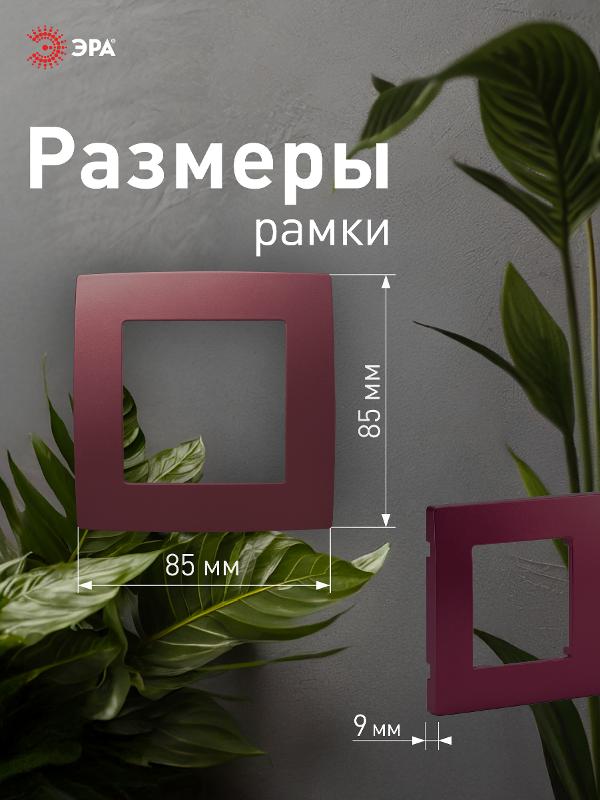 Рамка на 1 пост 12-5001-25  ,  бордо  |Б0019390 | ЭРА — миниатюра 4