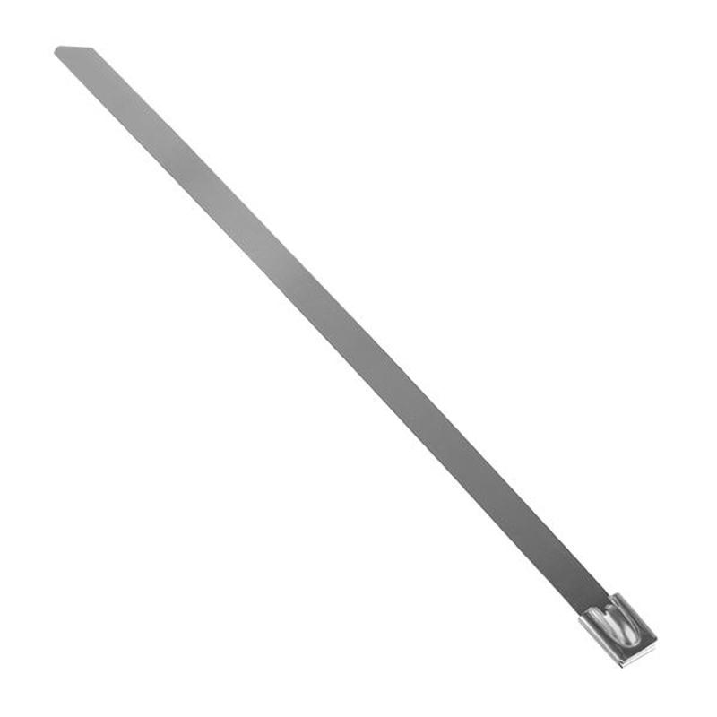 Хомут AISI 304 из нержавеющей стали, 7.9x200 (10 шт.) FlexLock PROxima | plc-fl-tss-304-7.9x200-r | EKF — миниатюра 6