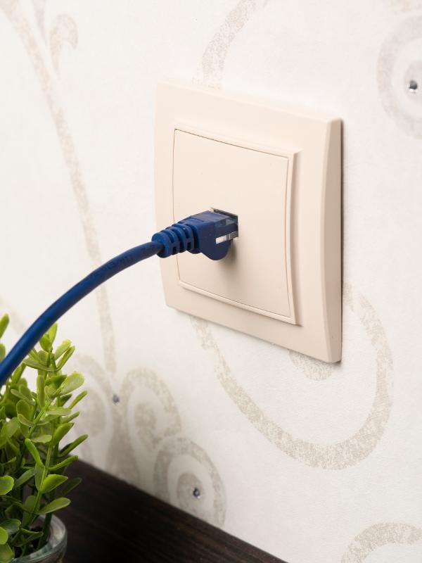 Минск Розетка RJ-45 2-местная СП бежевая EKF|ERK02-035-20|EKF — миниатюра 5