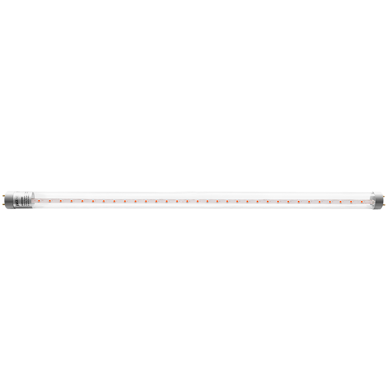 Лампа светодиодная PLED T8 600 Agro 8w CL G13 ( для растений) | .5025899 | Jazzway — миниатюра 2
