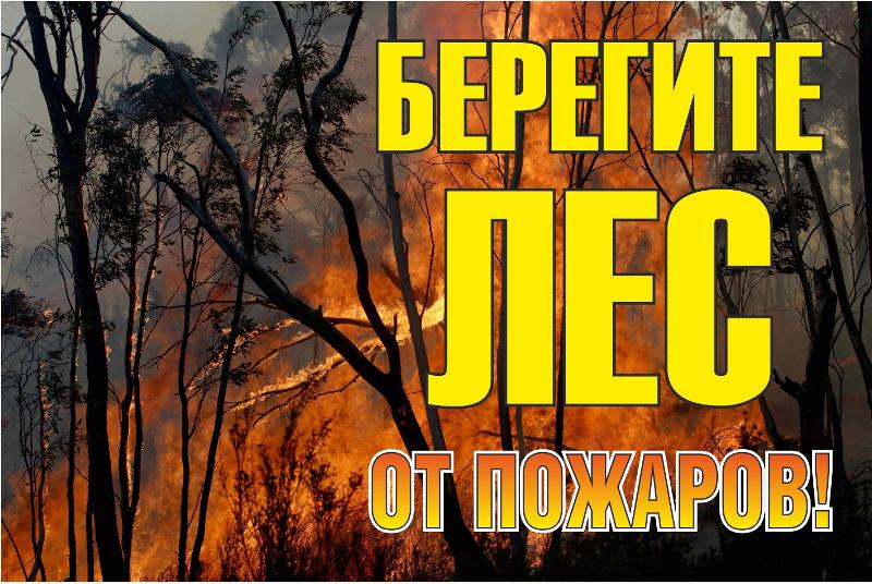 Знак "Берегите лес от огня!" 1200х800 мм | zn-1-02 | EKF — EKF