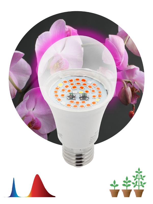 Светильник светодиодный для растений FITO-14W-RB-E27 | Б0050602 | ЭРА — миниатюра 1